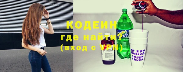 соль ск Бородино