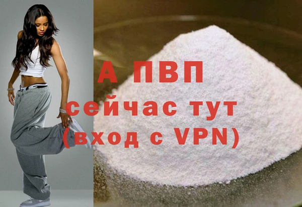соль ск Бородино