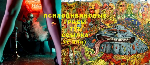 амф Бронницы