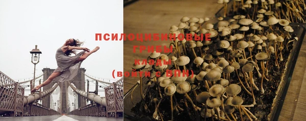 амф Бронницы