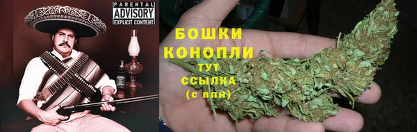 соль ск Бородино